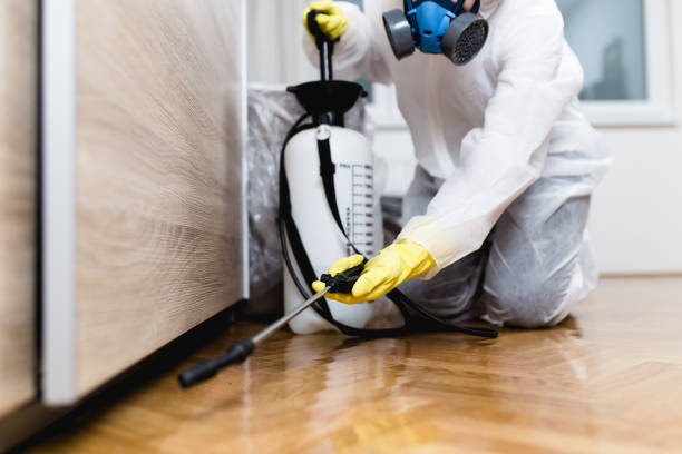 Best Flea Control Services  in Avon, IN