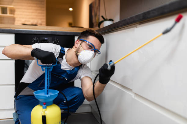 Best Pest Removal Services  in Avon, IN