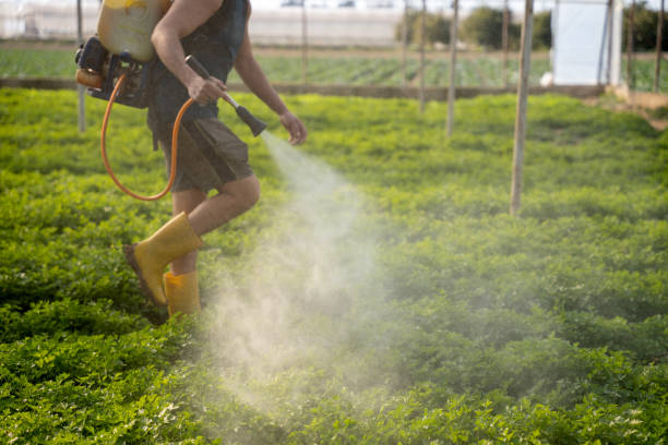 Best Affordable Pest Control Services  in Avon, IN