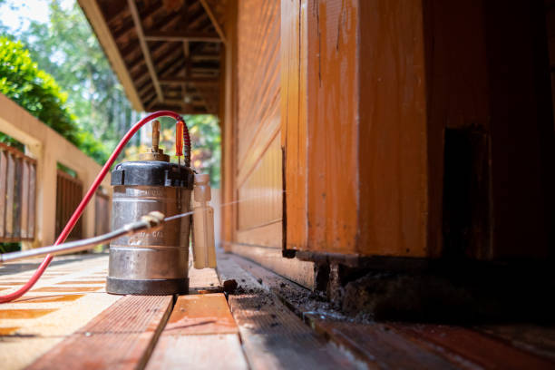 Best Local Pest Control Services  in Avon, IN