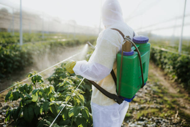 Best Residential Pest Control  in Avon, IN